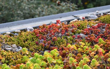 the cost of Starkholmes green roof installation