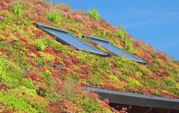 Starkholmes living roof systems
