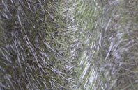 Starkholmes fibreglass roof work